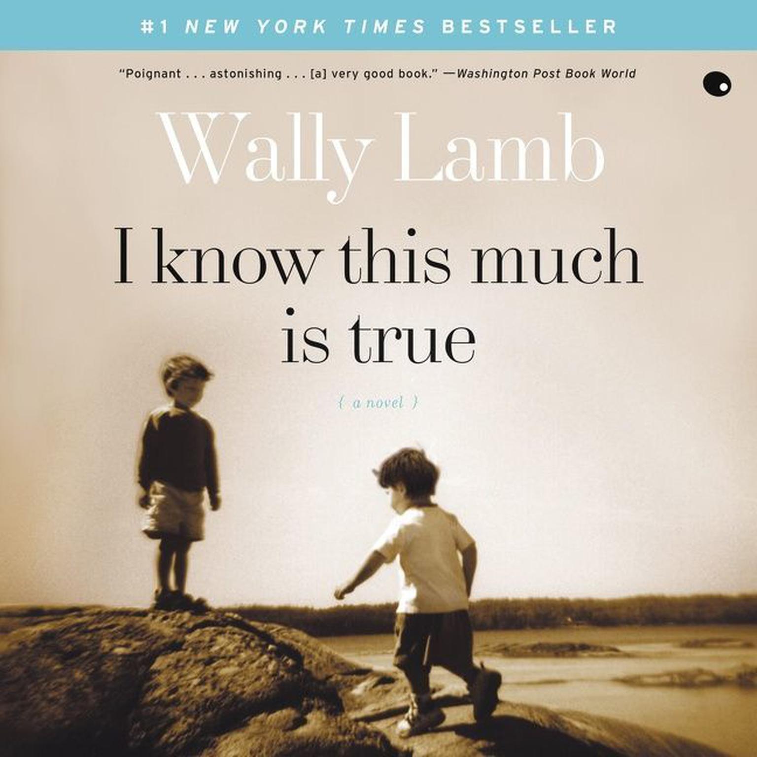 I Know This Much Is True (Abridged) Audiobook, by Wally Lamb