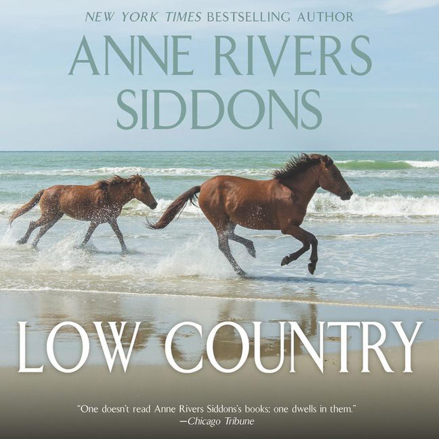 Low Country (Abridged) Audiobook, by Anne Rivers Siddons