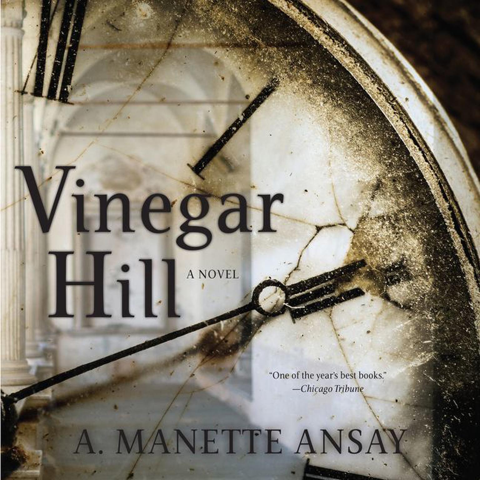 Vinegar Hill (Abridged) Audiobook, by A. Manette Ansay