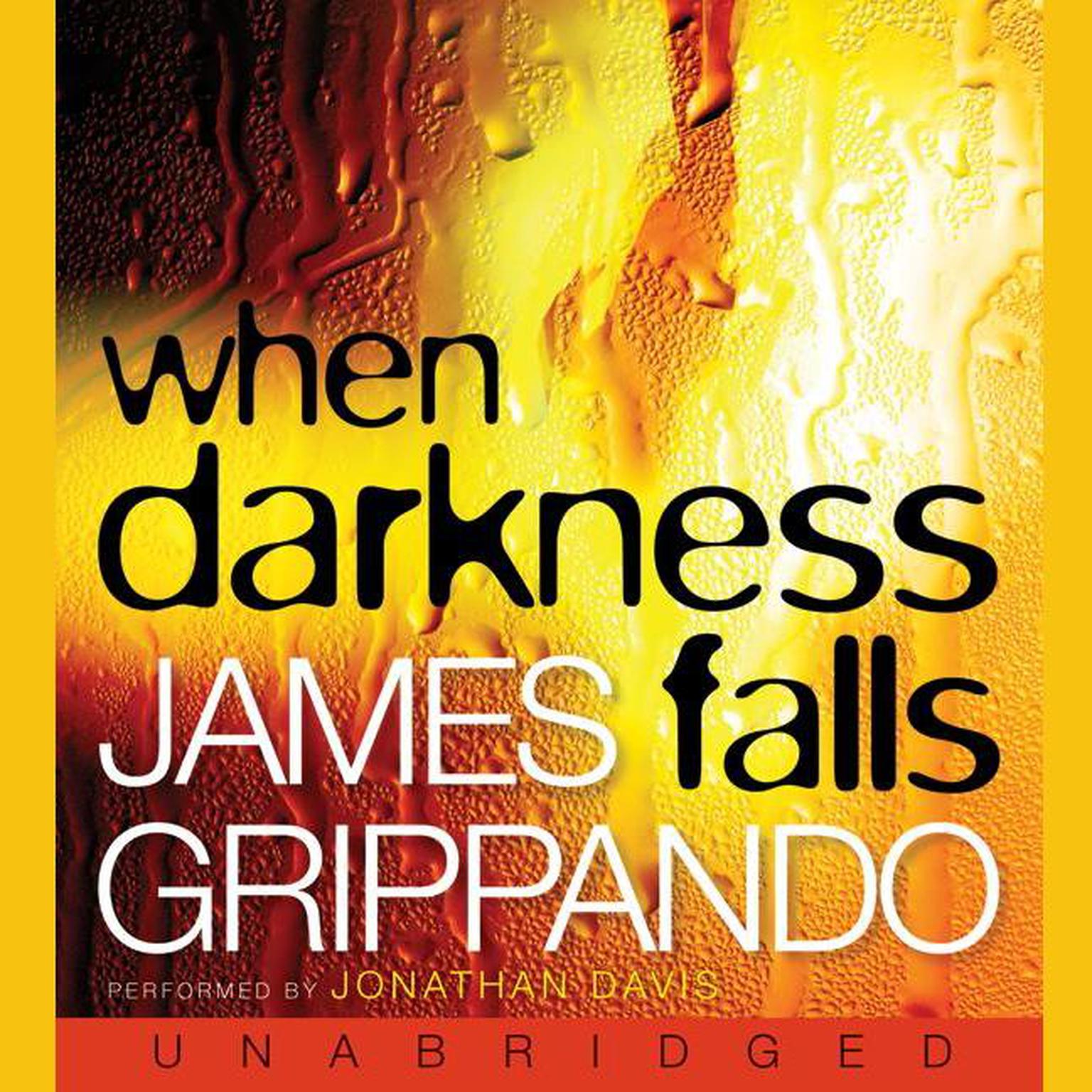 When Darkness Falls Audiobook, by James Grippando