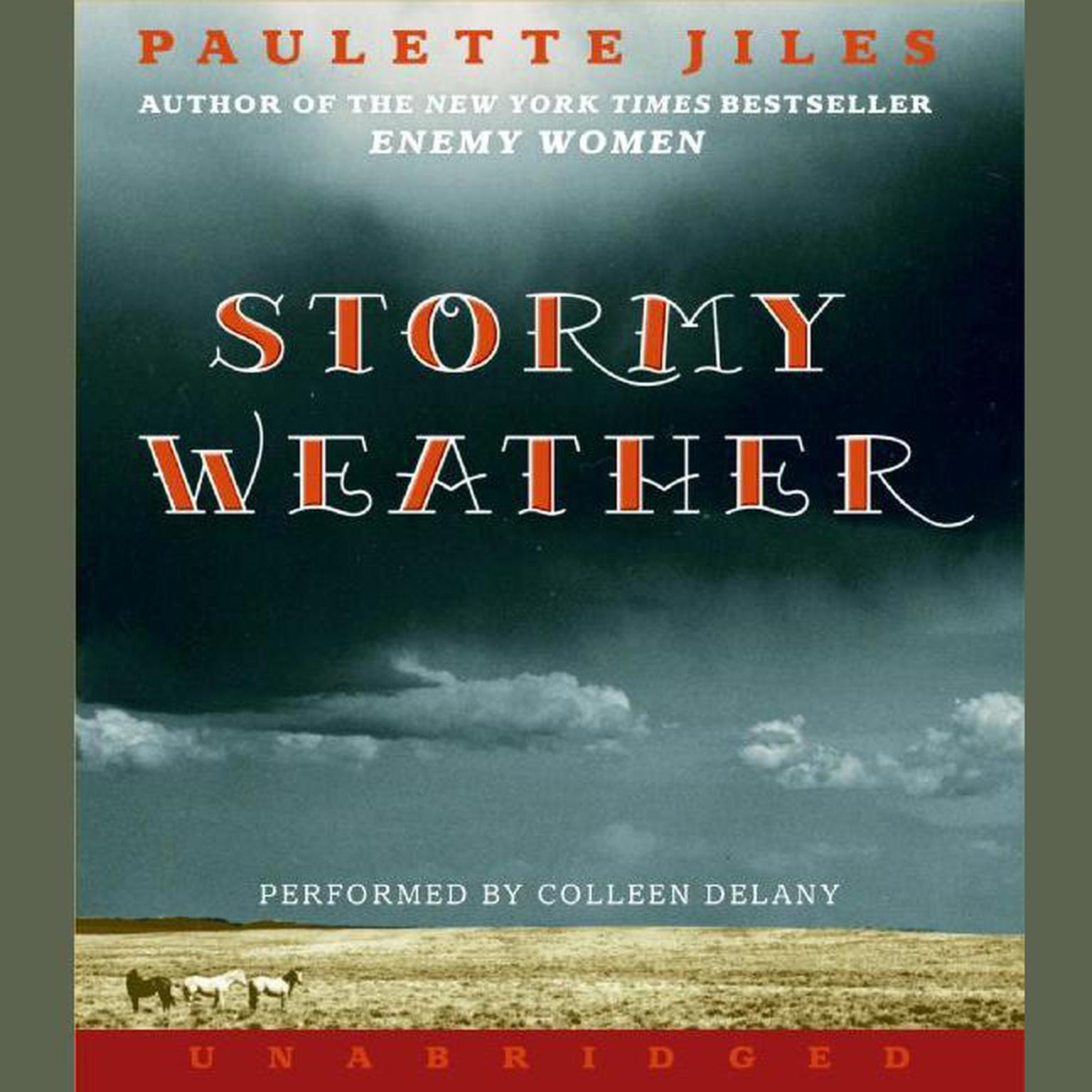 Stormy Weather Audiobook, by Paulette Jiles