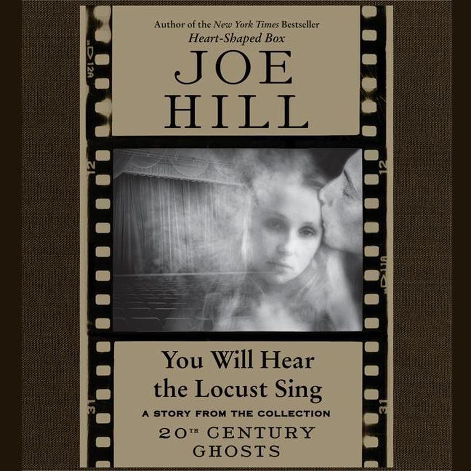 You Will Hear the Locust Sing Audiobook, by Joe Hill