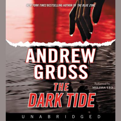 The Dark Tide Audiobook, by Andrew Gross