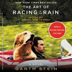 The Art of Racing in the Rain Audiobook, by Garth Stein