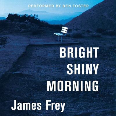 Bright Shiny Morning Audiobook, by James Frey
