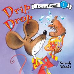 Drip, Drop Audiobook, by Sarah Weeks