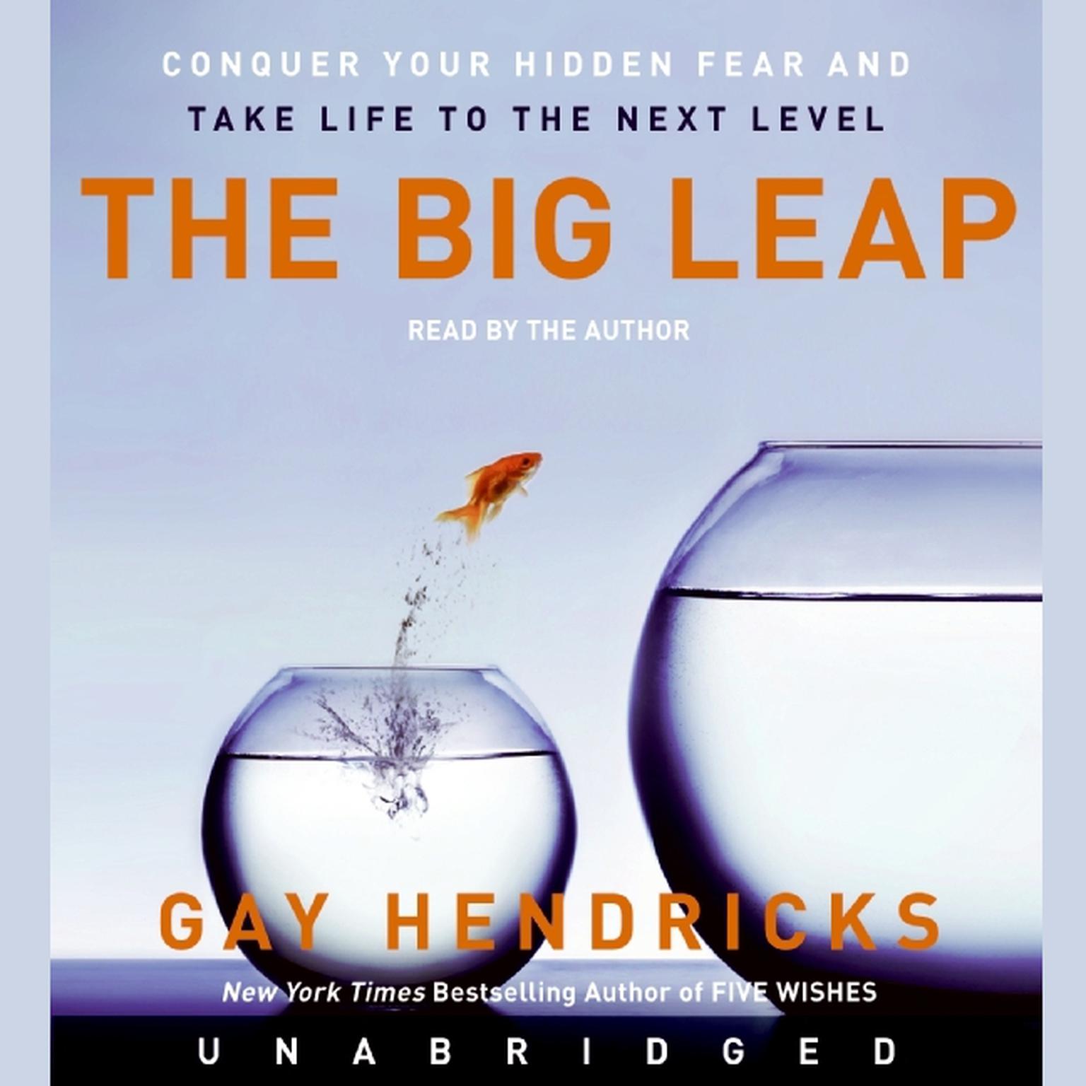 The Big Leap: Conquer Your Hidden Fear and Take Life to the Next Level Audiobook, by Gay Hendricks