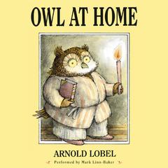 Owl at Home Audiobook, by Arnold Lobel