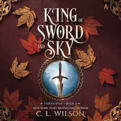 King of Sword and Sky Audiobook, by C. L. Wilson