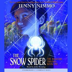 The Snow Spider Audiobook, by Jenny Nimmo