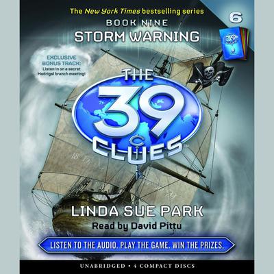 Storm Warning Audiobook, by Linda Sue Park