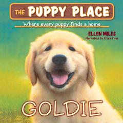 Goldie (The Puppy Place #1): Puppy Place #1: Goldie Digital Download Audiobook, by Ellen Miles