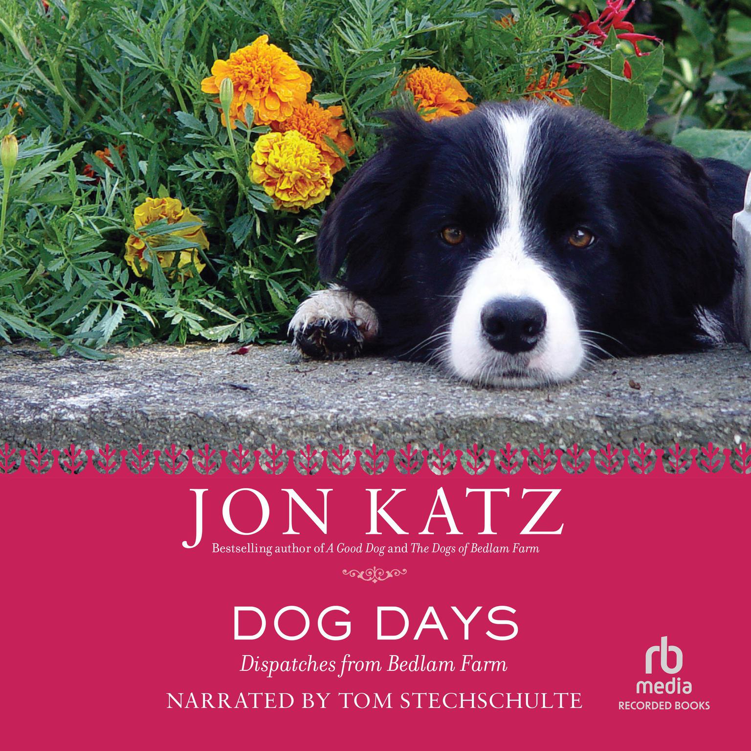 Dog Days: Dispatches from Bedlam Farm Audiobook, by Jon Katz