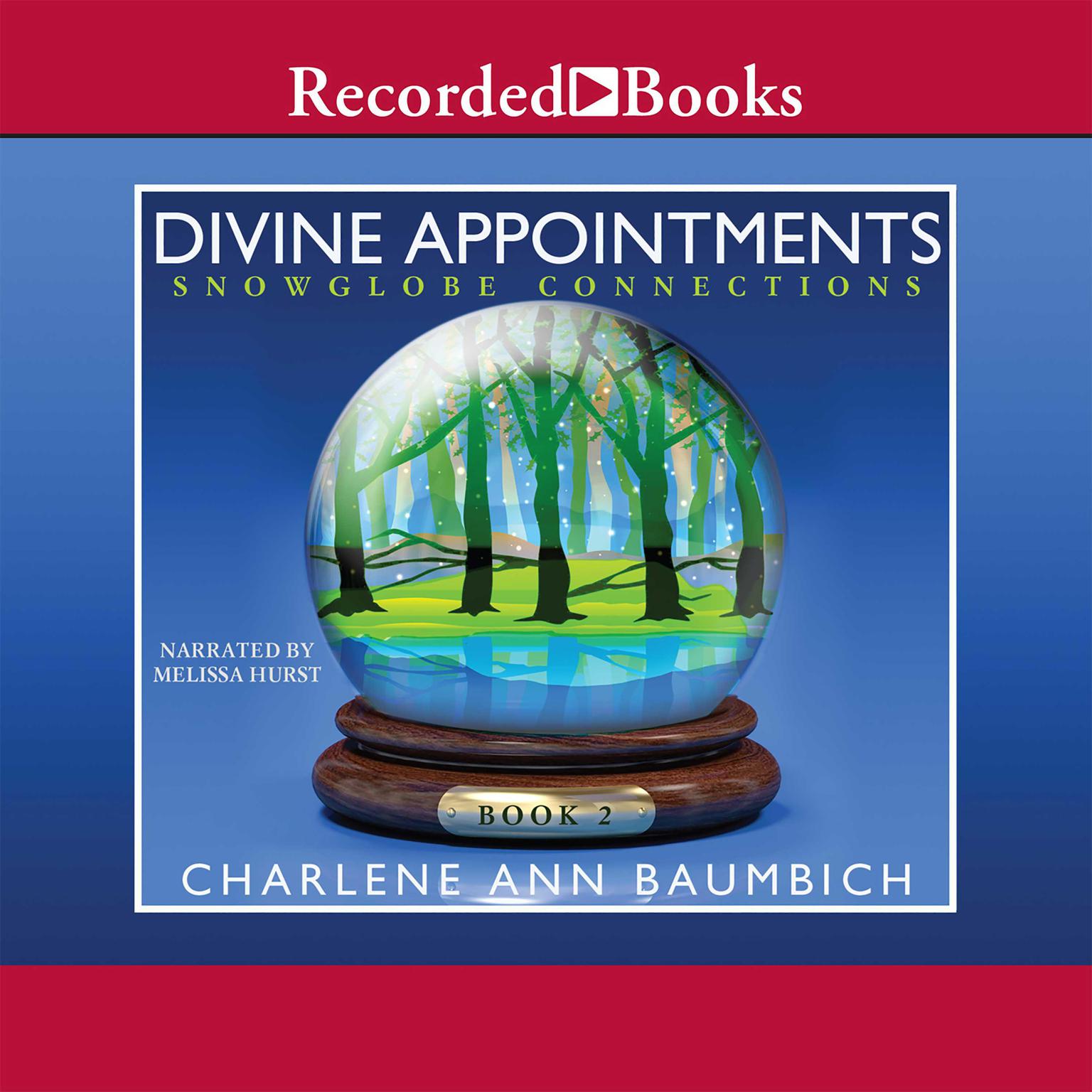 Divine Appointments Audiobook, by Charlene Ann Baumbich