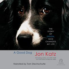 A Good Dog: The Story of Orson, Who Changed My Life Audiobook, by 