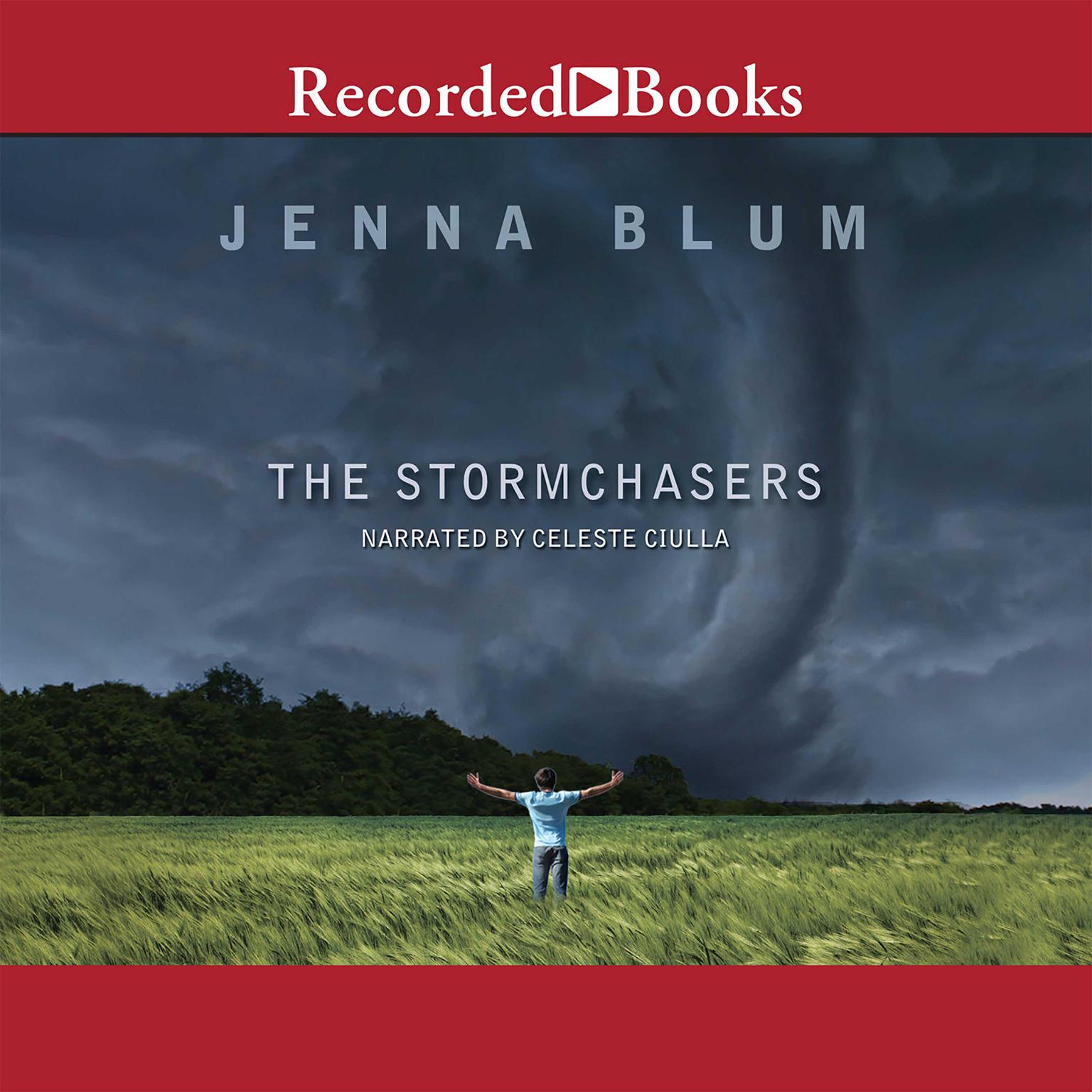 The Stormchasers: A Novel Audiobook, by Jenna Blum
