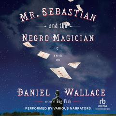 Mr. Sebastian and the Negro Magician Audiobook, by Daniel Wallace