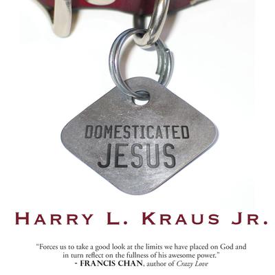 Domesticated Jesus Audiobook, by 