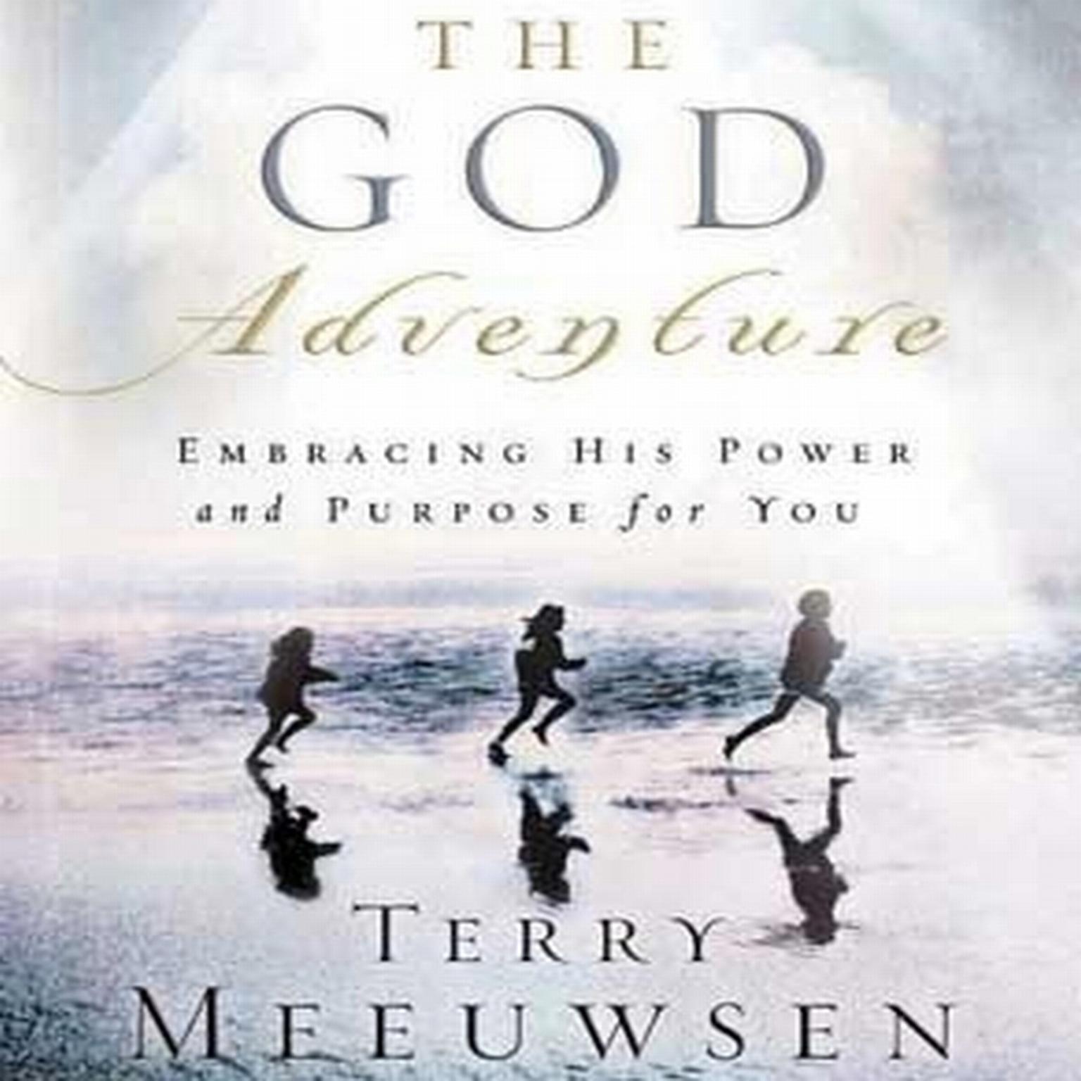 The God Adventure Audiobook, by Terry Meeuwsen