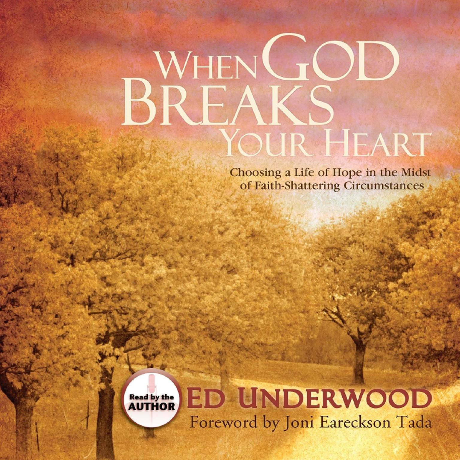 When God Breaks Your Heart: Choosing Hope in the Midst of Faith-Shattering Circumstances Audiobook, by Ed Underwood