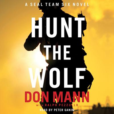 SEAL Team Six: Hunt the Wolf: A SEAL Team Six Novel Audiobook, by Don Mann
