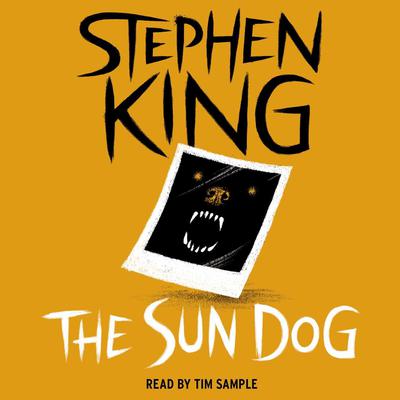 The Sun Dog Audiobook, by Stephen King