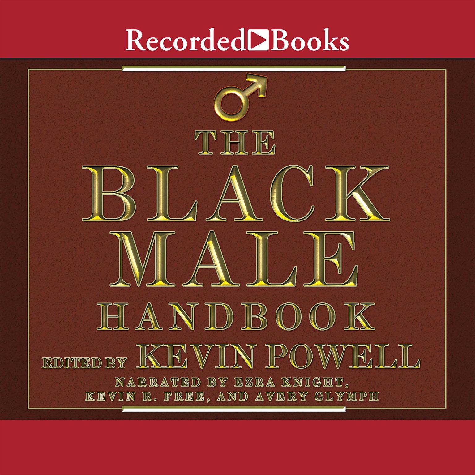 The Black Male Handbook: A Blueprint for Life Audiobook, by Kevin Powell