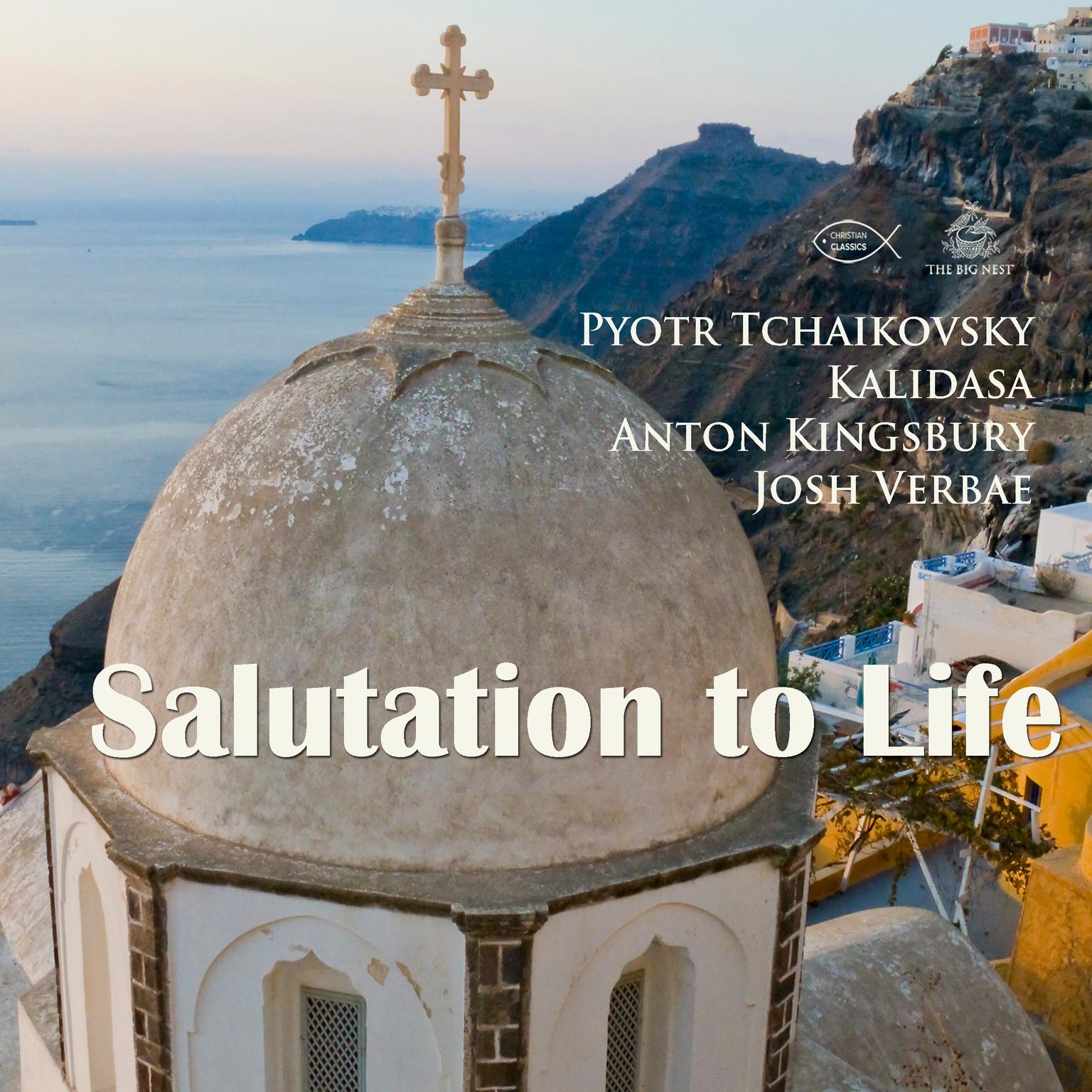 Salutation to Life Audiobook, by Anton Kingsbury