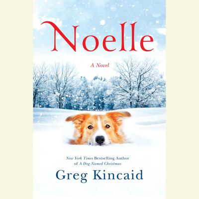 Noelle: A Novel Audiobook, by Greg Kincaid