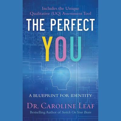 The Perfect You: A Blueprint for Identity Audiobook, by 