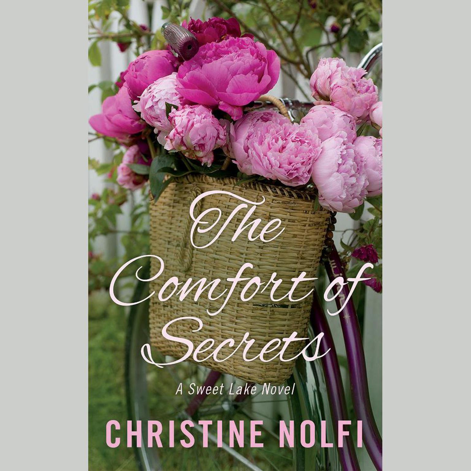 The Comfort of Secrets Audiobook, by Christine Nolfi