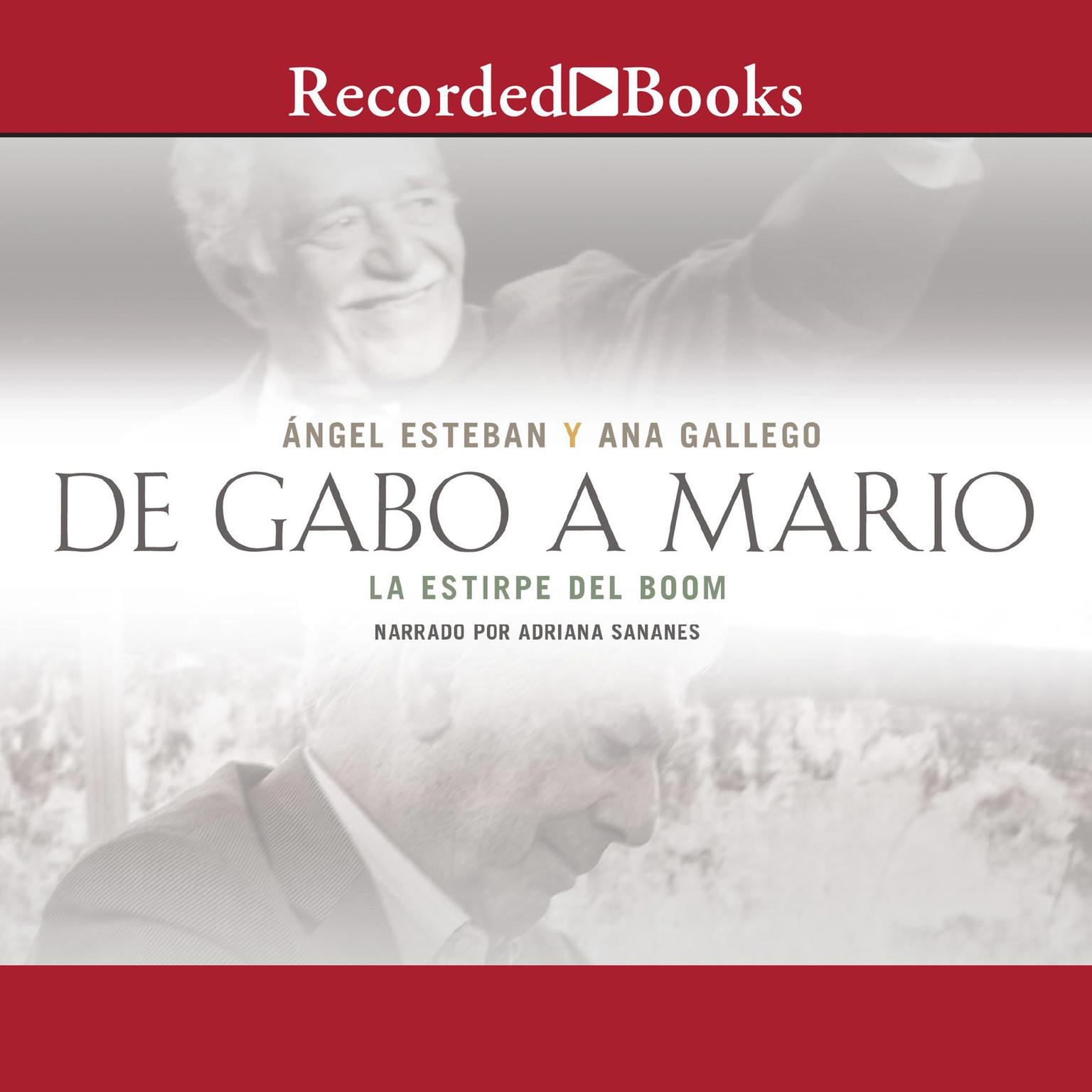 De Gabo a Mario: Una breve historia del boom latinoamericano Audiobook, by Angel Esteban