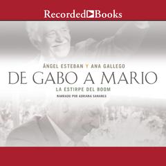 De Gabo a Mario: Una breve historia del boom latinoamericano Audiobook, by Angel Esteban
