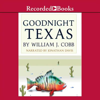 Goodnight, Texas Audiobook, by 