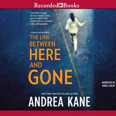 The Line Between Here and Gone Audiobook, by Andrea Kane