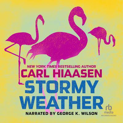 Stormy Weather Audiobook, by Carl Hiaasen