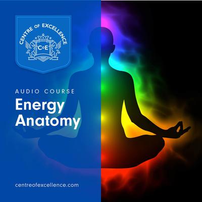 Energy Anatomy Audiobook, by Centre of Excellence