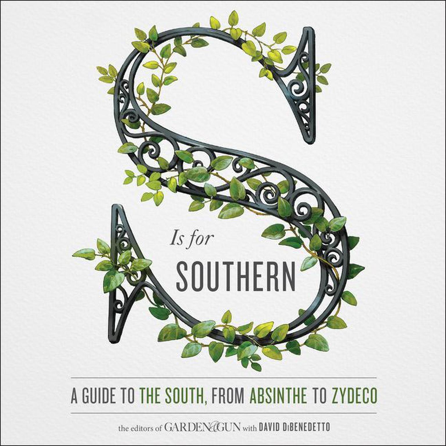 S Is for Southern: A Guide to the South, from Absinthe to Zydeco Audiobook, by David DiBenedetto