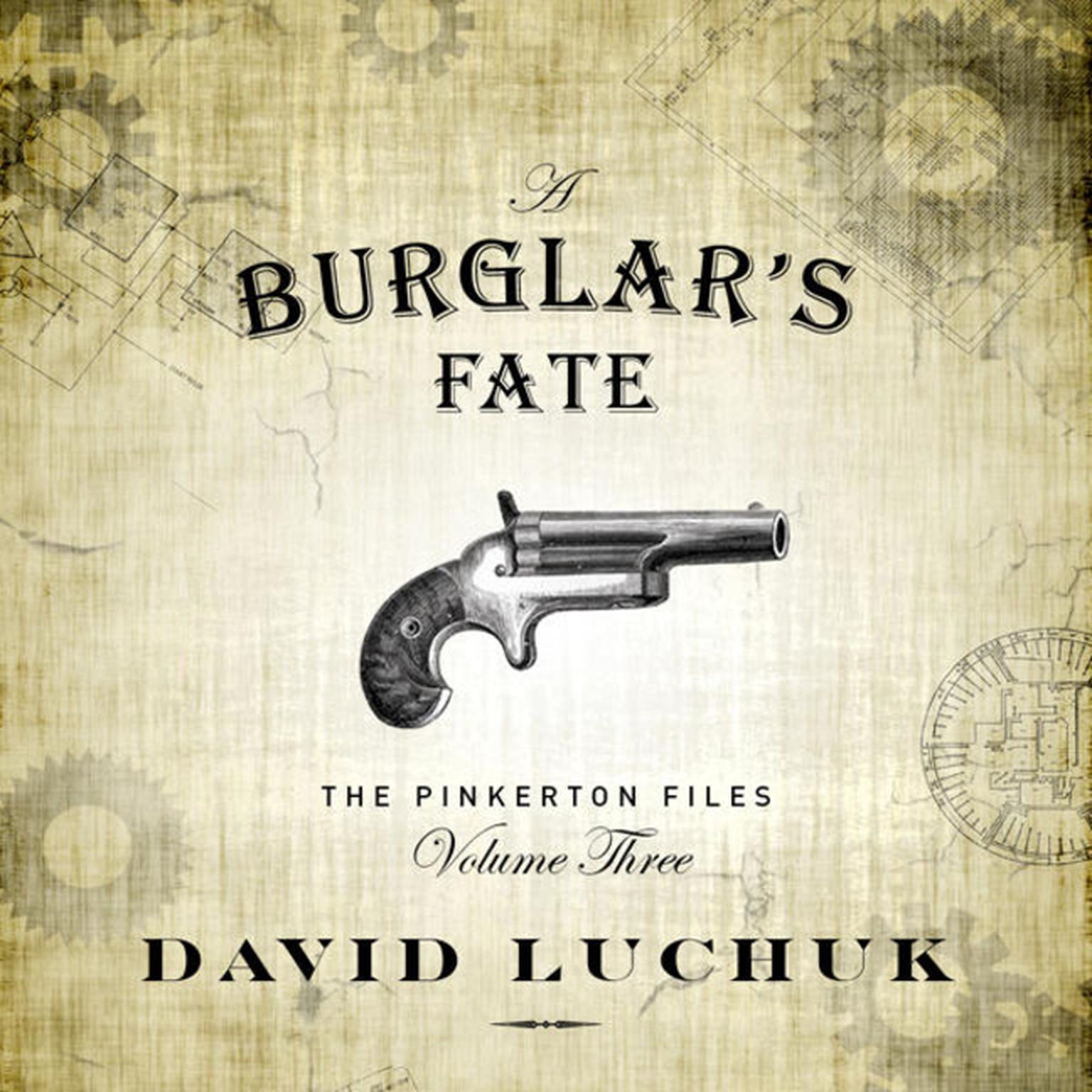 Burglars Fate, A : The Pinkerton Files, Volume 3 Audiobook, by David Luchuk