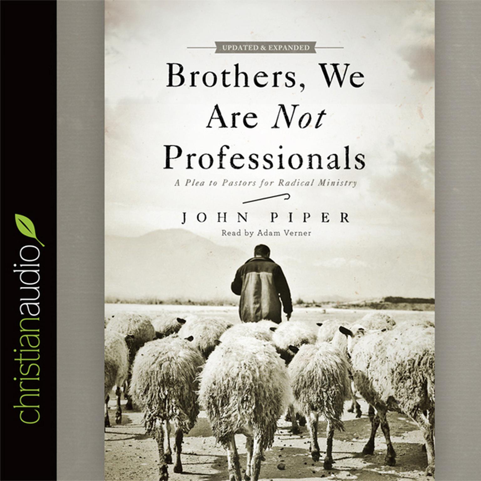 Brothers, We Are Not Professionals: A Plea to Pastors for Radical Ministry Audiobook, by John Piper