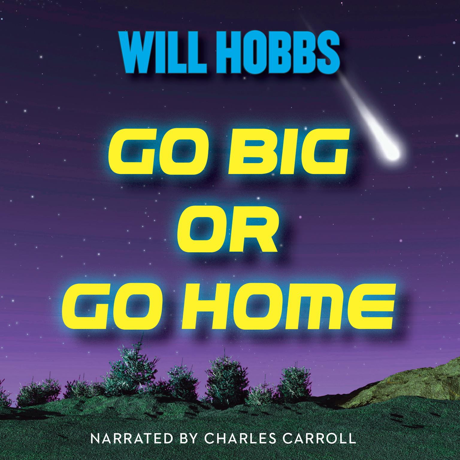Go Big or Go Home Audiobook, by Will Hobbs