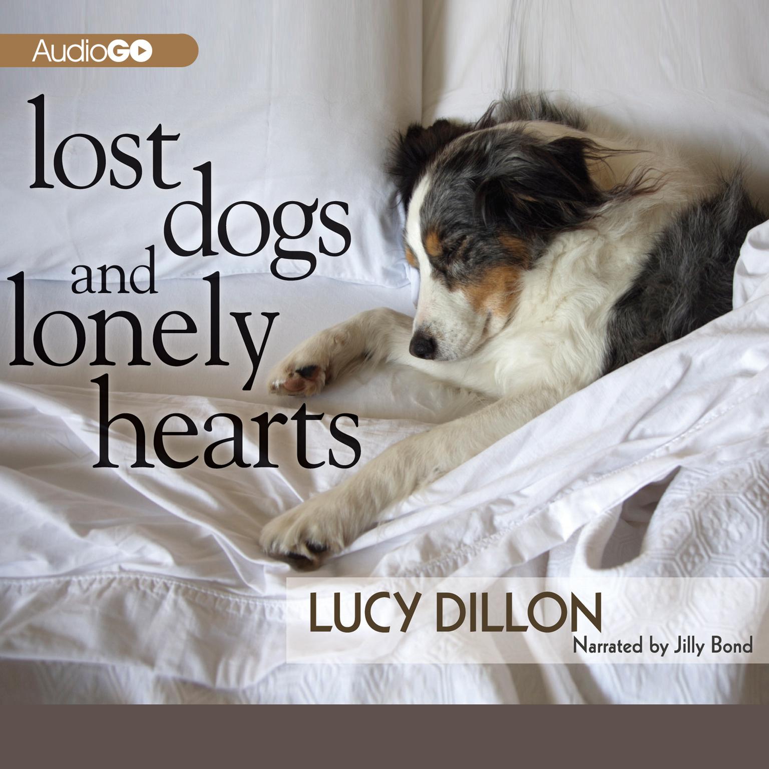 Lost Dogs and Lonely Hearts Audiobook, by Lucy Dillon