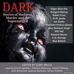 Dark: Stories of Madness, Murder and the Supernatural: Stories of Madness, Murder, and the Supernatural Audiobook, by Isaac Bashevis Singer