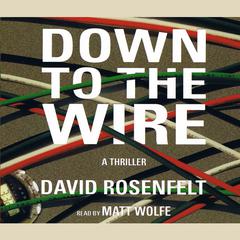 Down to the Wire Audiobook, by David Rosenfelt