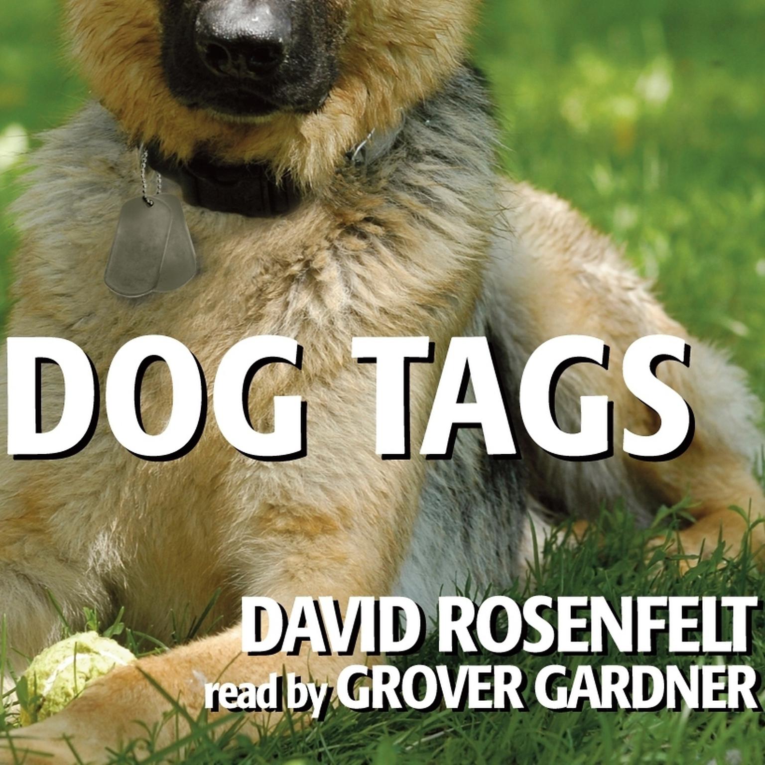 Dog Tags Audiobook, by David Rosenfelt