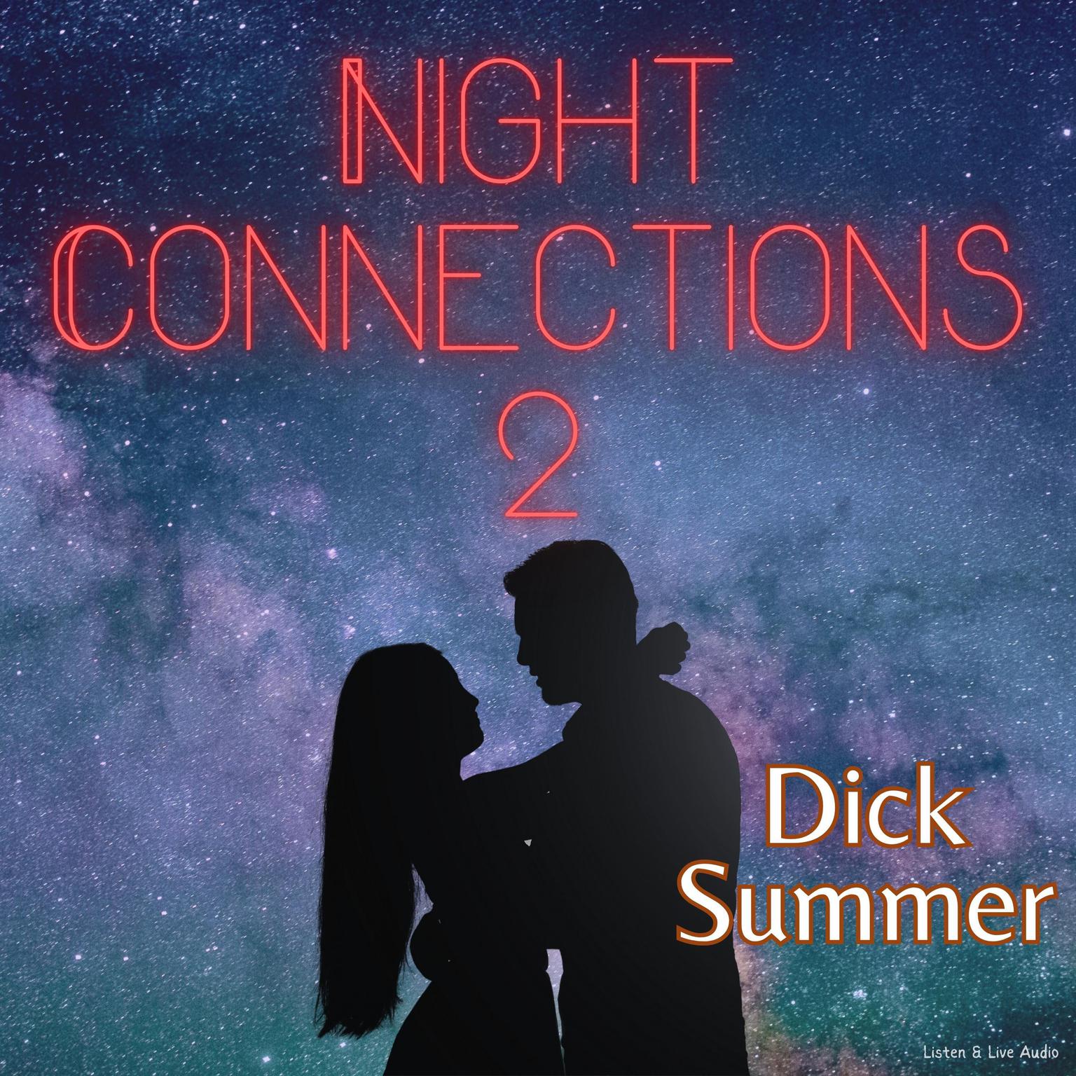 Night Connections 2 Audiobook, by Dick Summer