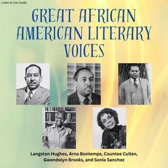 Great African American Literary Voices Audiobook, by Langston Hughes