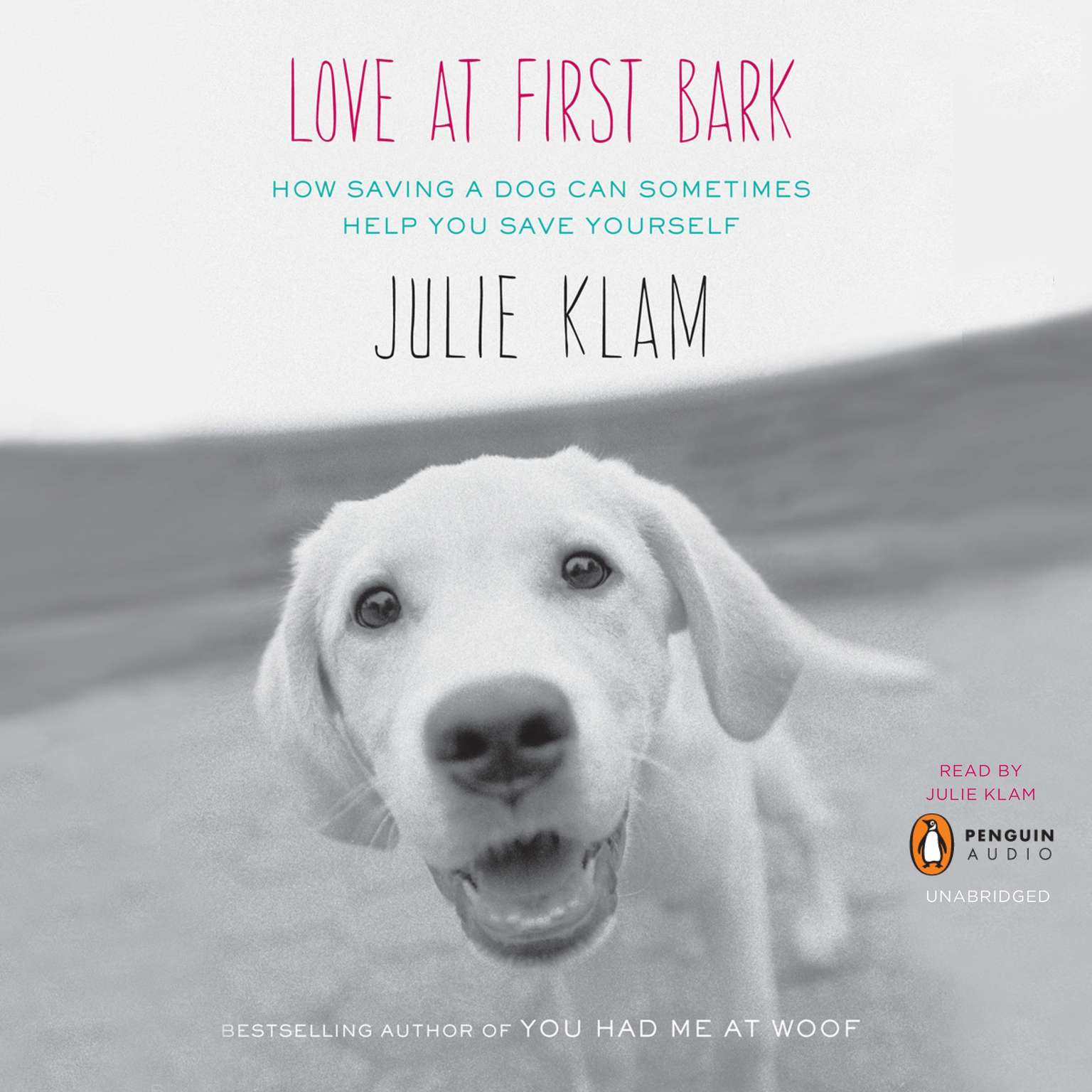 Love at First Bark: How Saving a Dog Can Sometimes Help You Save Yourself Audiobook, by Julie Klam