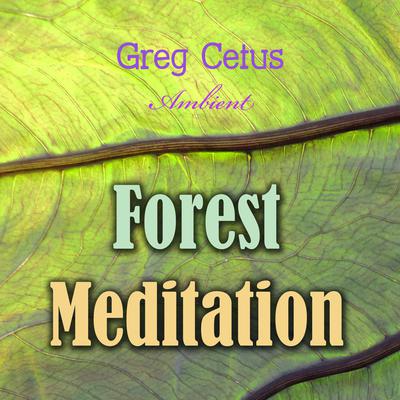 Forest Meditation Audiobook, by Ivan Turgenev