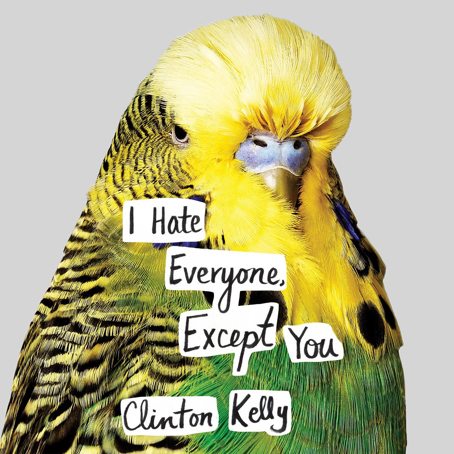 I Hate Everyone, Except You (Abridged) Audiobook, by Clinton Kelly